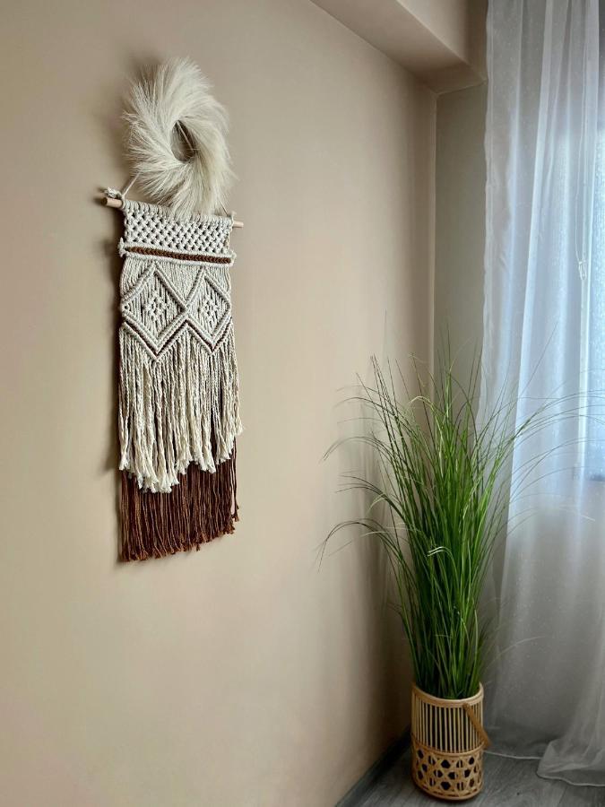 Boholand Apartment 布拉索夫 外观 照片